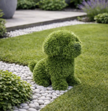 FERGUS - PUPPY DOG