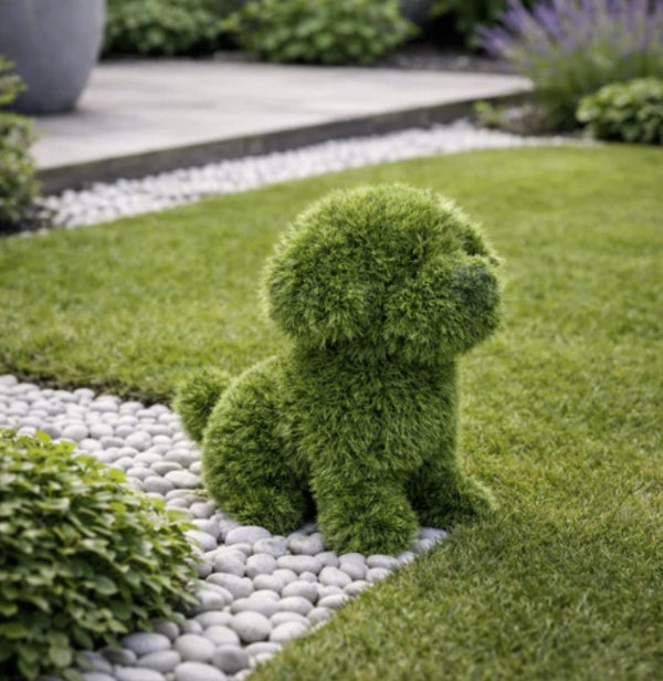 FERGUS - PUPPY DOG (Large)