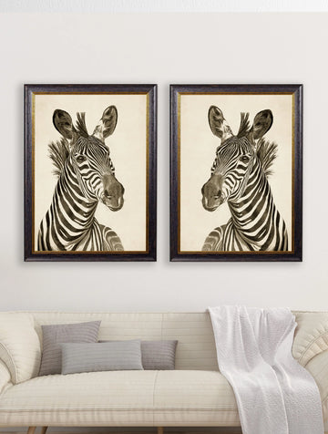 Zebra Illustration Framed Wall Art