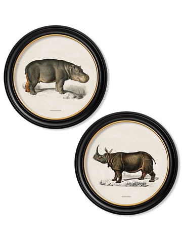 Rhino & Hippo Round Framed Wall Art